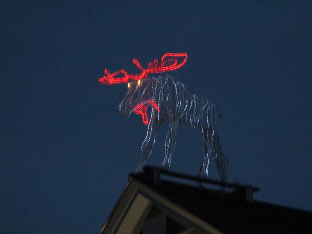 Moose above Bar Harbour