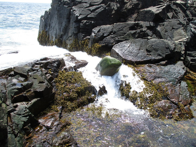 Zen Pond