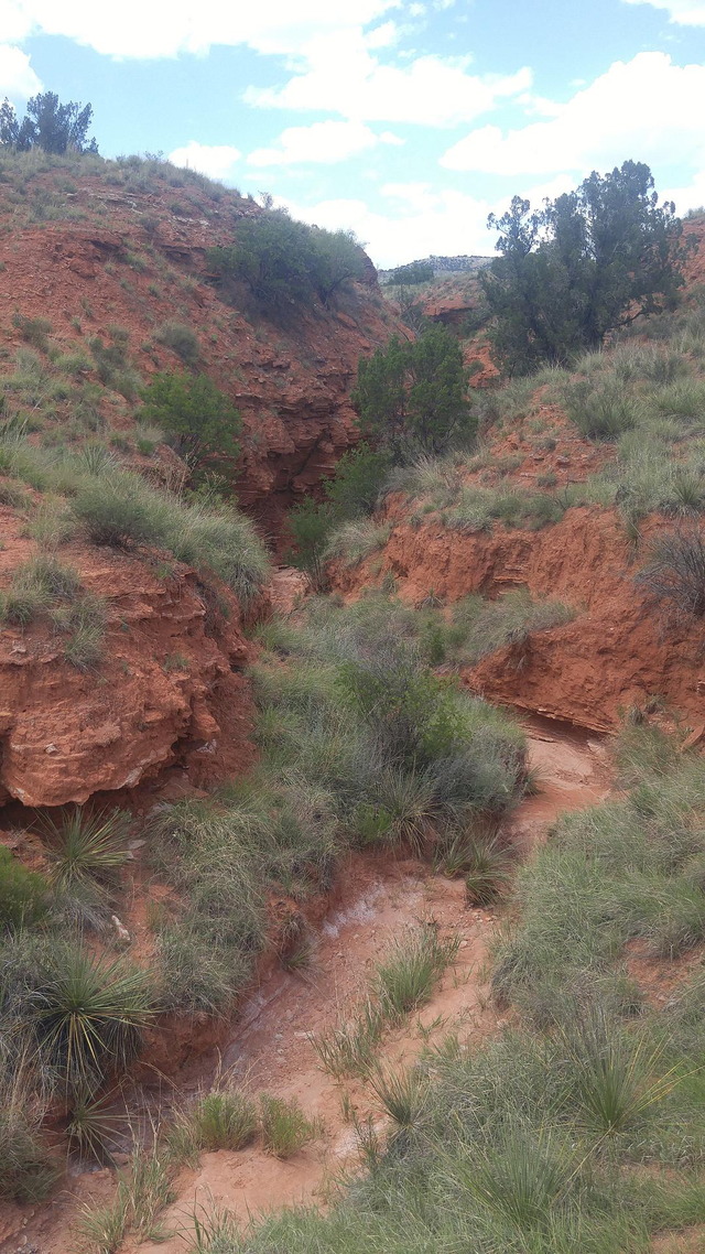 Runoff Cannel