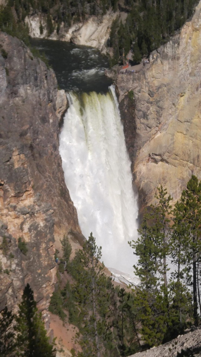 Grand Canyon of Yellowstone, Lower Falls