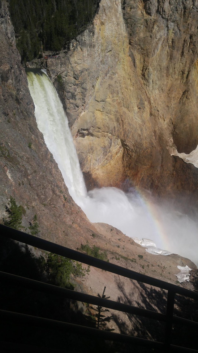 Grand Canyon of Yellowstone, Lower Falls