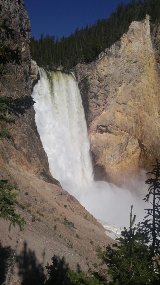 Grand Canyon of Yellowstone, Lower Falls