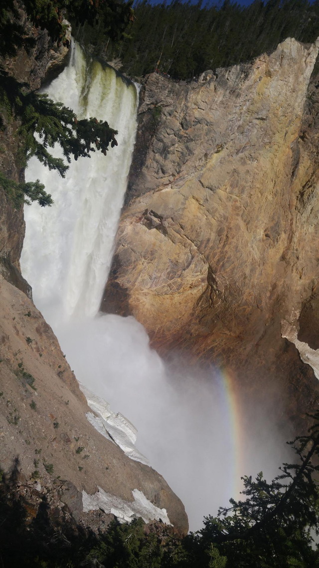 Grand Canyon of Yellowstone, Lower Falls