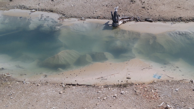 Norris Geyser Basin