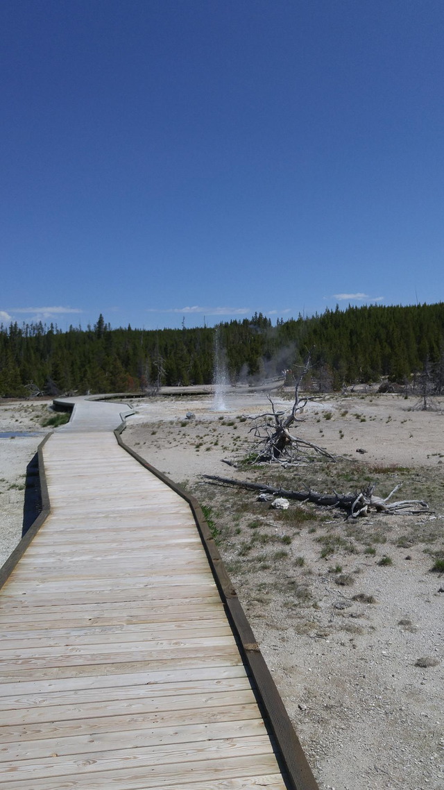 Vixen Geyser