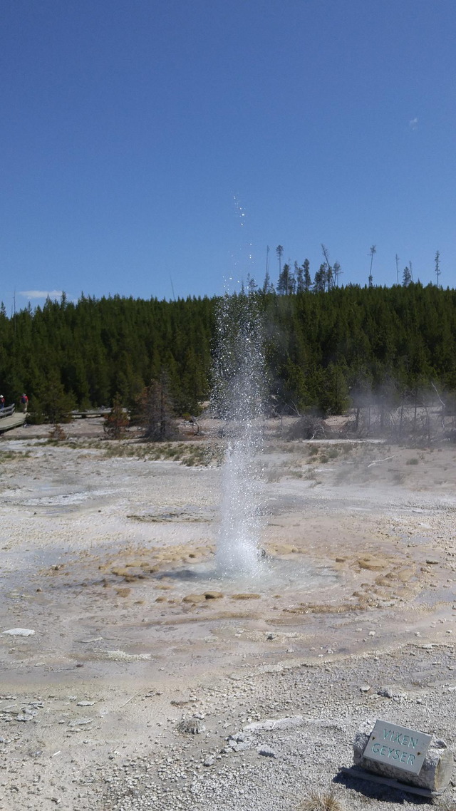 Vixen Geyser