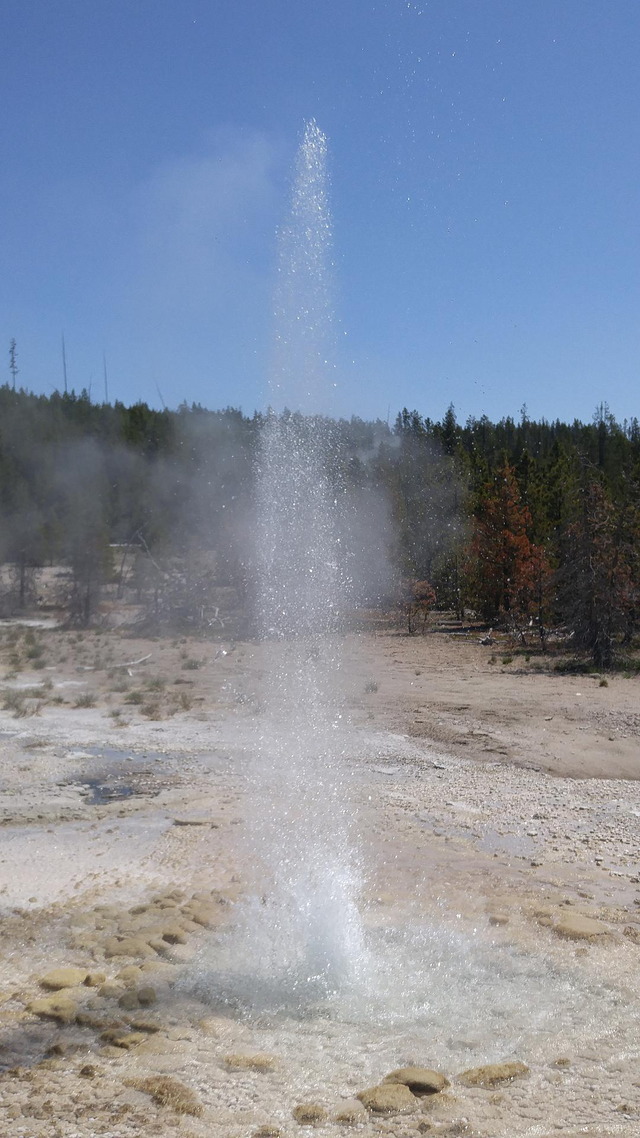 Vixen Geyser