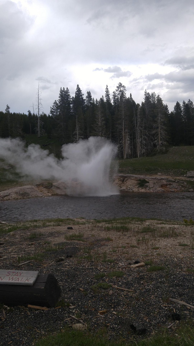 Riverside Geyser